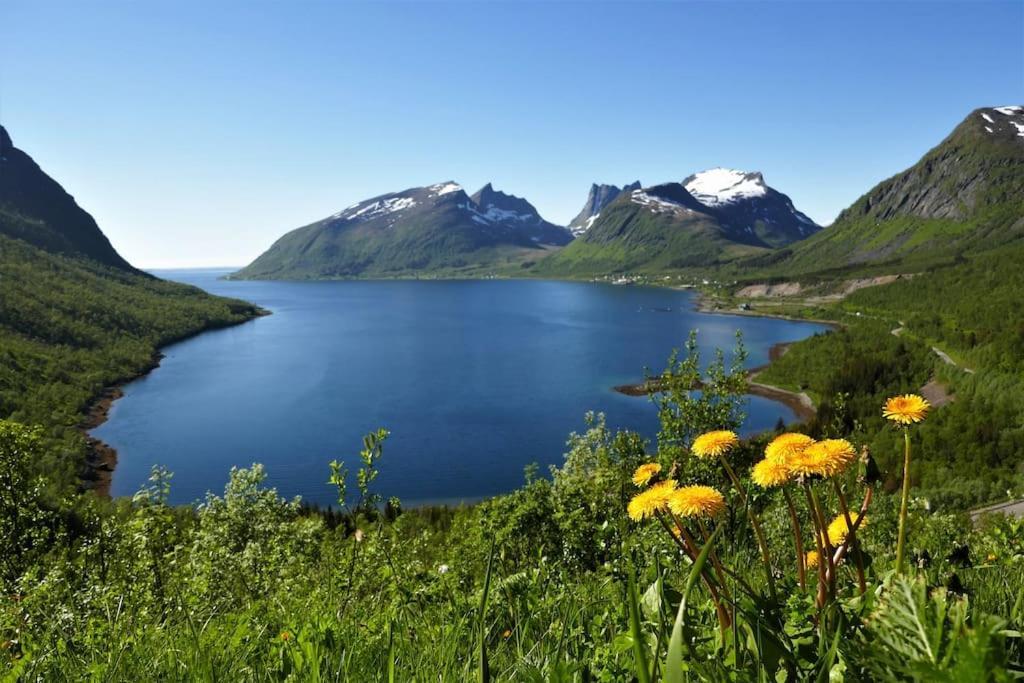 Cozy Apartment Between Sea And Mountains Mefjordvær 외부 사진